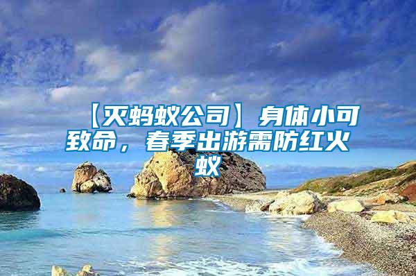 【滅螞蟻公司】身體小可致命，春季出游需防紅火蟻