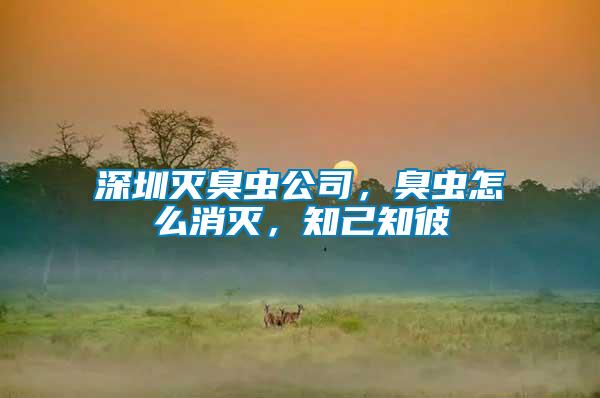 深圳滅臭蟲(chóng)公司，臭蟲(chóng)怎么消滅，知己知彼