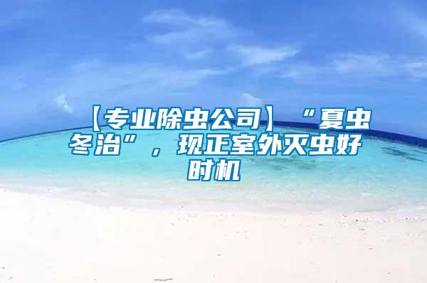 【專業(yè)除蟲公司】“夏蟲冬治”，現(xiàn)正室外滅蟲好時(shí)機(jī)