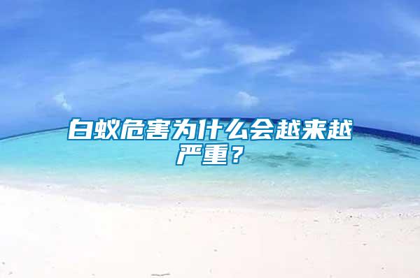 白蟻危害為什么會越來越嚴(yán)重？