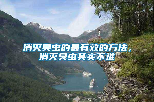 消滅臭蟲的最有效的方法，消滅臭蟲其實不難
