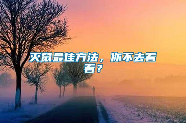 滅鼠最佳方法，你不去看看？