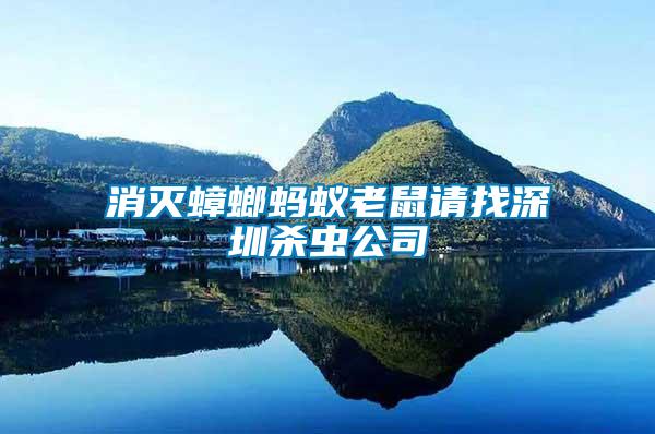 消滅蟑螂螞蟻老鼠請(qǐng)找深圳殺蟲(chóng)公司