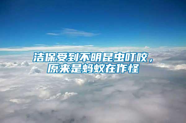 潔保受到不明昆蟲(chóng)叮咬，原來(lái)是螞蟻在作怪