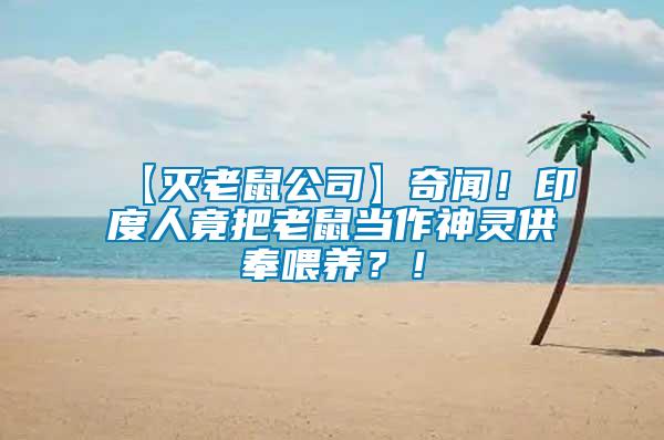 【滅老鼠公司】奇聞！印度人竟把老鼠當(dāng)作神靈供奉喂養(yǎng)？！