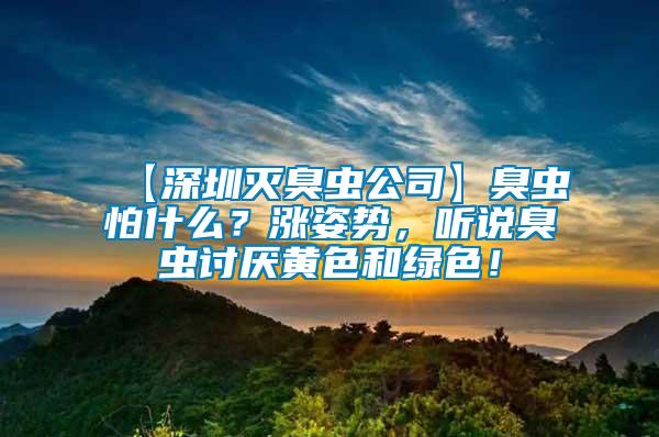 【深圳滅臭蟲公司】臭蟲怕什么？漲姿勢，聽說臭蟲討厭黃色和綠色！