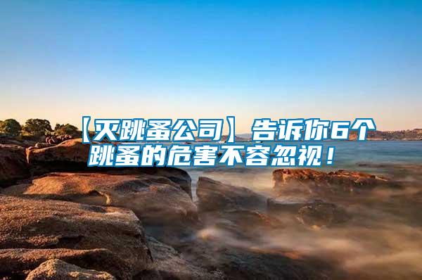 【滅跳蚤公司】告訴你6個跳蚤的危害不容忽視！