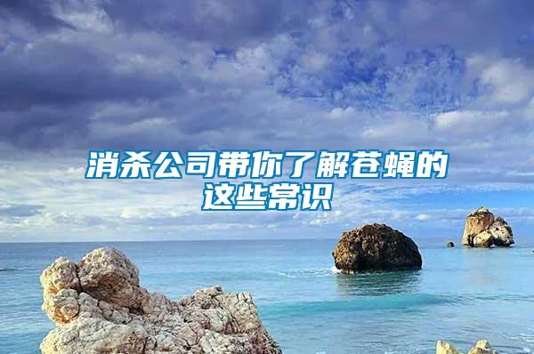 消殺公司帶你了解蒼蠅的這些常識(shí)