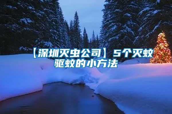【深圳滅蟲(chóng)公司】5個(gè)滅蚊驅(qū)蚊的小方法