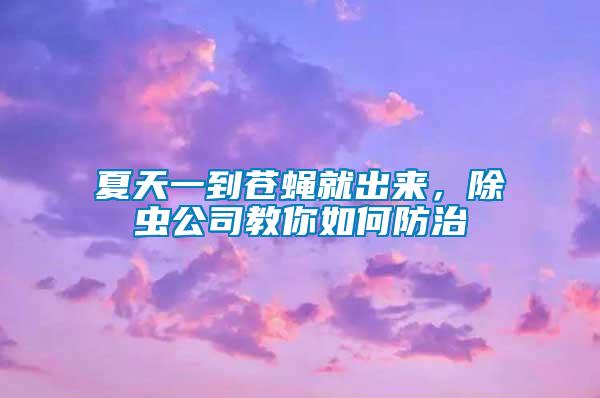 夏天一到蒼蠅就出來，除蟲公司教你如何防治