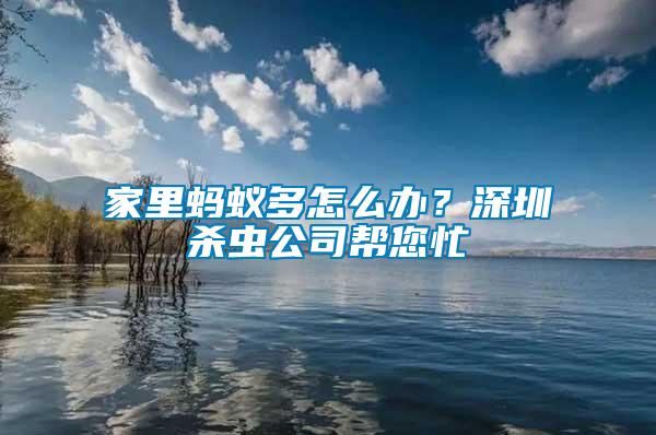 家里螞蟻多怎么辦？深圳殺蟲公司幫您忙