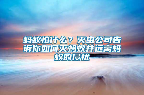 螞蟻怕什么？滅蟲公司告訴你如何滅螞蟻并遠(yuǎn)離螞蟻的侵?jǐn)_
