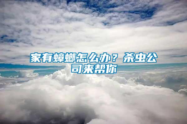 家有蟑螂怎么辦？殺蟲公司來幫你
