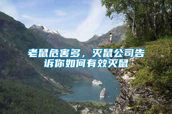 老鼠危害多，滅鼠公司告訴你如何有效滅鼠