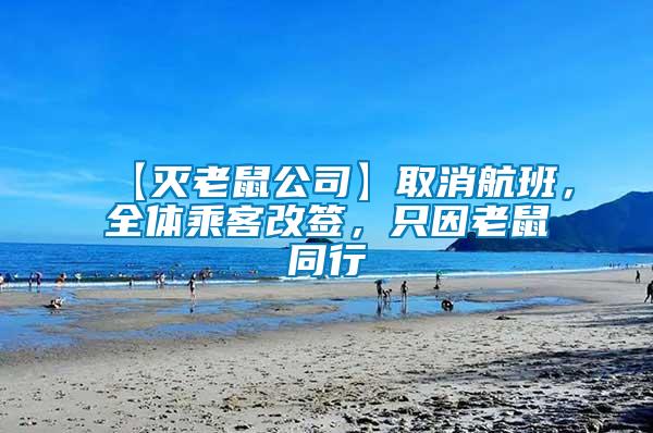 【滅老鼠公司】取消航班，全體乘客改簽，只因老鼠同行
