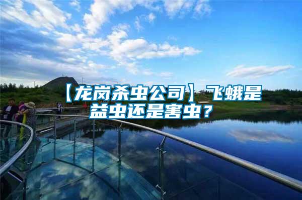 【龍崗殺蟲(chóng)公司】飛蛾是益蟲(chóng)還是害蟲(chóng)？