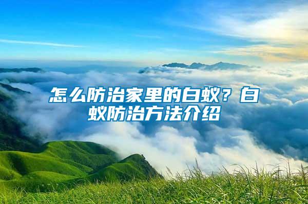 怎么防治家里的白蟻？白蟻防治方法介紹