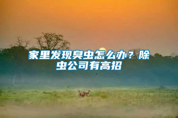 家里發(fā)現(xiàn)臭蟲怎么辦？除蟲公司有高招
