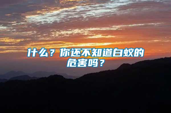 什么？你還不知道白蟻的危害嗎？