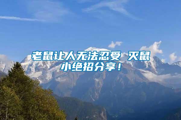 老鼠讓人無(wú)法忍受 滅鼠小絕招分享！