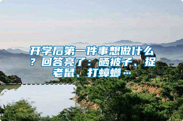 開學后第一件事想做什么？回答亮了：曬被子、捉老鼠、打蟑螂…