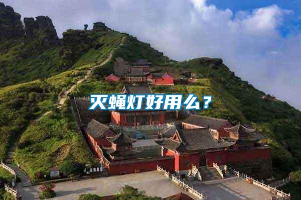 滅蠅燈好用么？