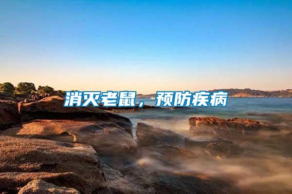 消滅老鼠，預防疾病