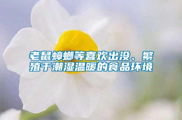 老鼠蟑螂等喜歡出沒、繁殖于潮濕溫暖的食品環(huán)境