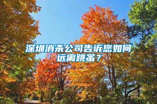 深圳消殺公司告訴您如何遠離跳蚤？