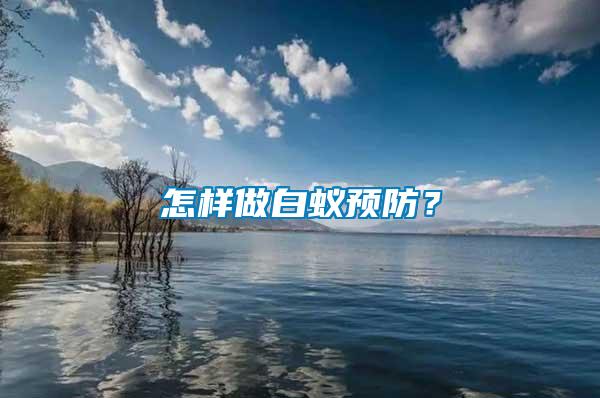 怎樣做白蟻預(yù)防？