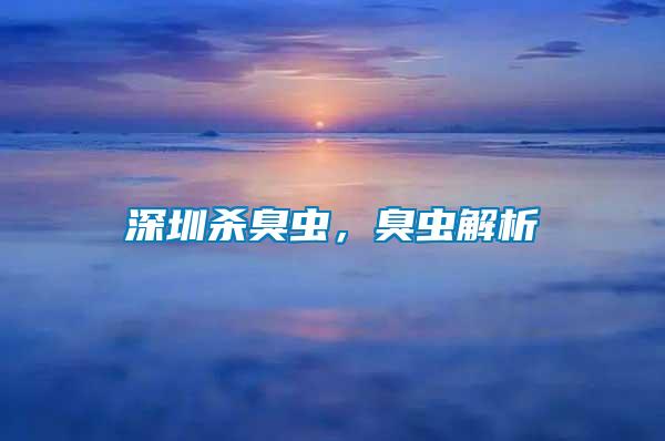 深圳殺臭蟲，臭蟲解析