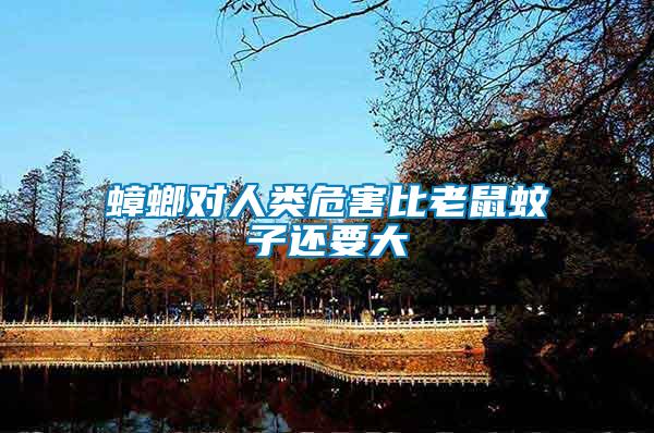 蟑螂對(duì)人類危害比老鼠蚊子還要大
