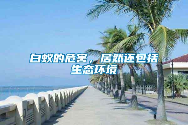 白蟻的危害，居然還包括生態(tài)環(huán)境