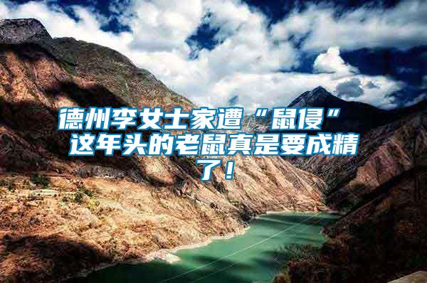 德州李女士家遭“鼠侵” 這年頭的老鼠真是要成精了！