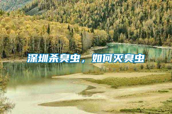 深圳殺臭蟲，如何滅臭蟲