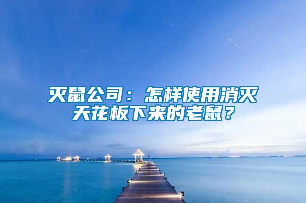 滅鼠公司：怎樣使用消滅天花板下來的老鼠？