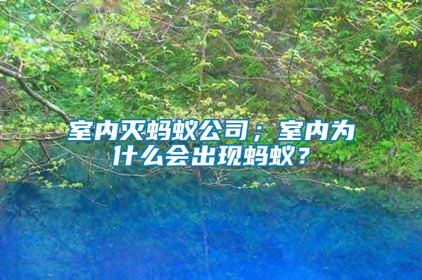 室內(nèi)滅螞蟻公司；室內(nèi)為什么會(huì)出現(xiàn)螞蟻？