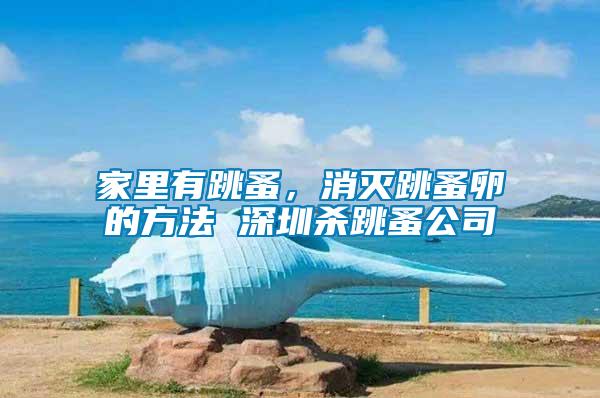 家里有跳蚤，消滅跳蚤卵的方法 深圳殺跳蚤公司