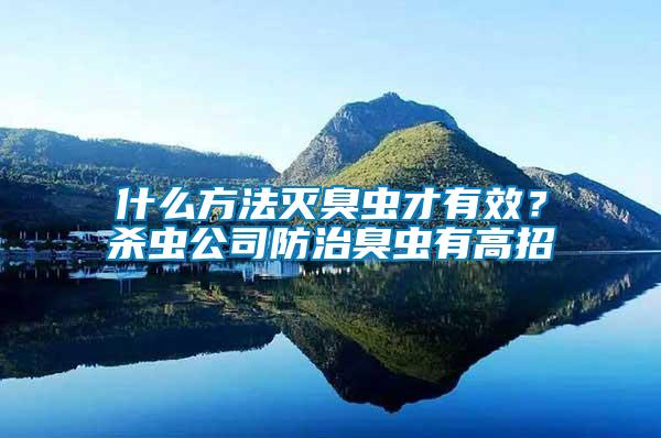 什么方法滅臭蟲才有效？殺蟲公司防治臭蟲有高招
