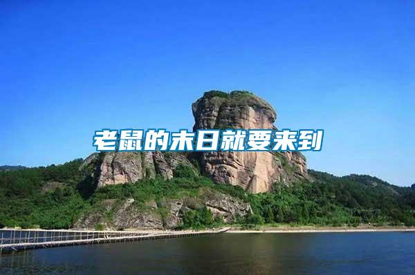 老鼠的末日就要來(lái)到