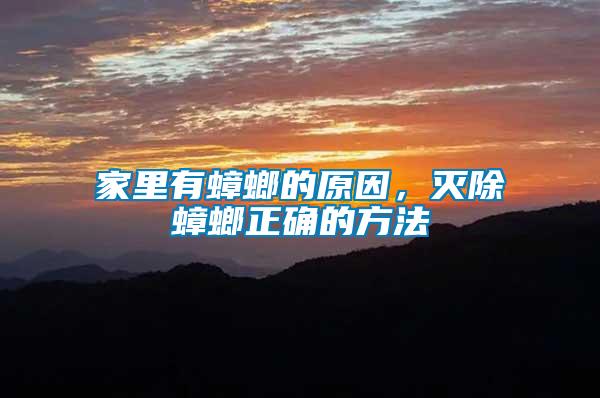 家里有蟑螂的原因，滅除蟑螂正確的方法
