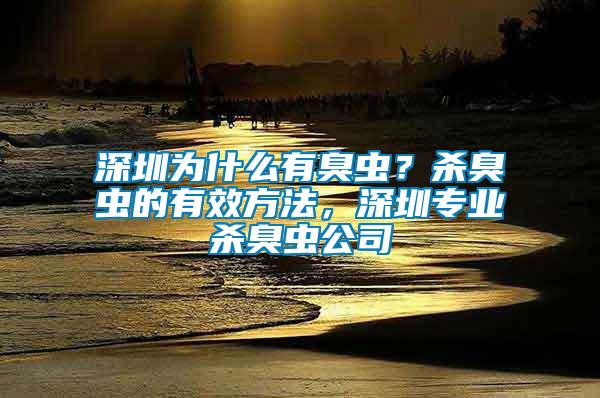深圳為什么有臭蟲？殺臭蟲的有效方法，深圳專業(yè)殺臭蟲公司
