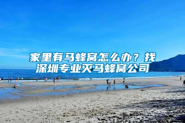 家里有馬蜂窩怎么辦？找深圳專業(yè)滅馬蜂窩公司