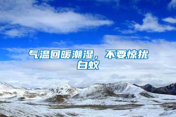 氣溫回暖潮濕，不要驚擾白蟻