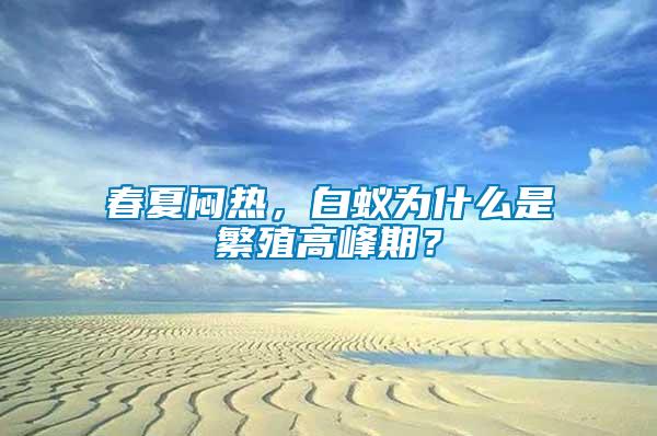 春夏悶熱，白蟻為什么是繁殖高峰期？