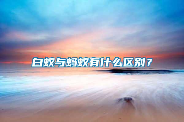 白蟻與螞蟻有什么區(qū)別？