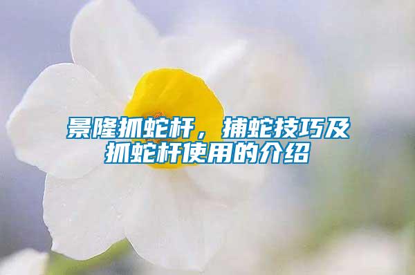景隆抓蛇桿，捕蛇技巧及抓蛇桿使用的介紹