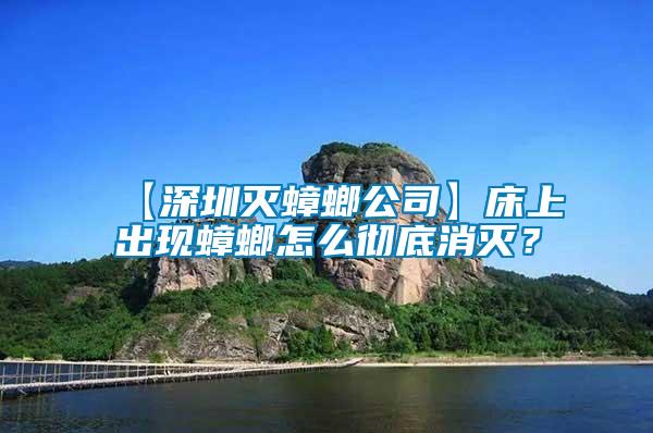【深圳滅蟑螂公司】床上出現蟑螂怎么徹底消滅？