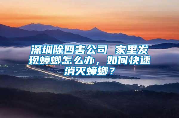 深圳除四害公司 家里發(fā)現(xiàn)蟑螂怎么辦，如何快速消滅蟑螂？