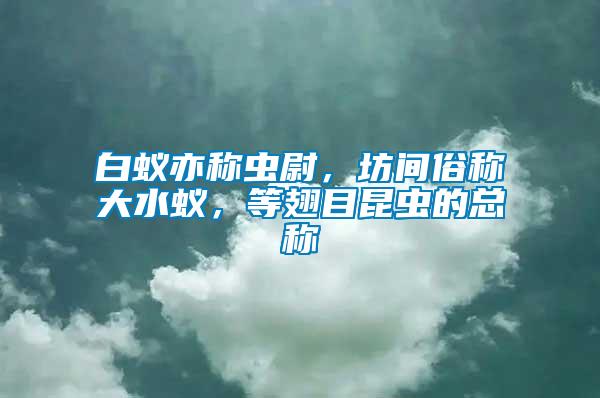 白蟻亦稱蟲尉，坊間俗稱大水蟻，等翅目昆蟲的總稱